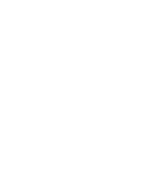 The Togo Armchair — CT Miami